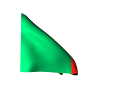 Zambia Flag